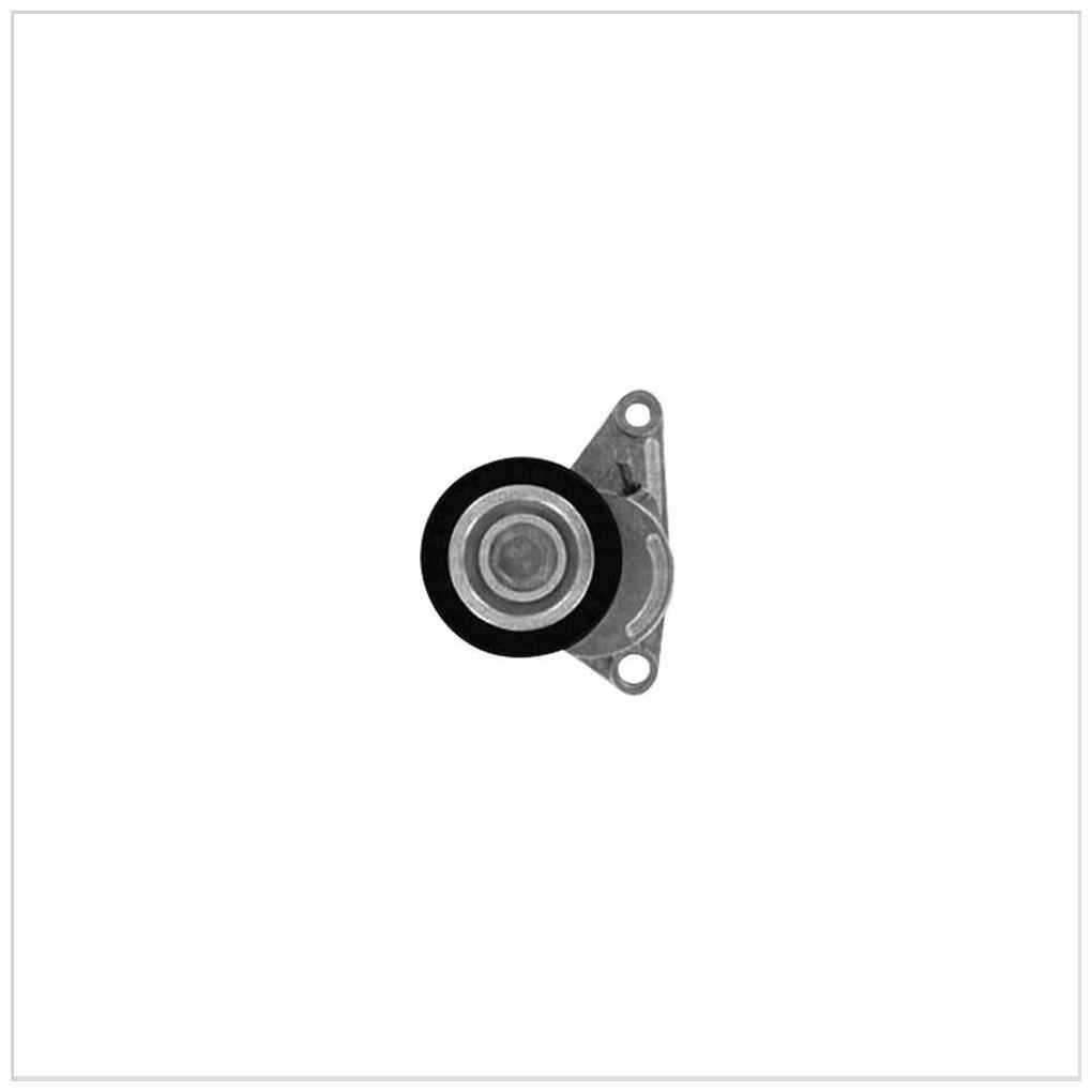 Tensionador Correia - SKF - VKM 33074