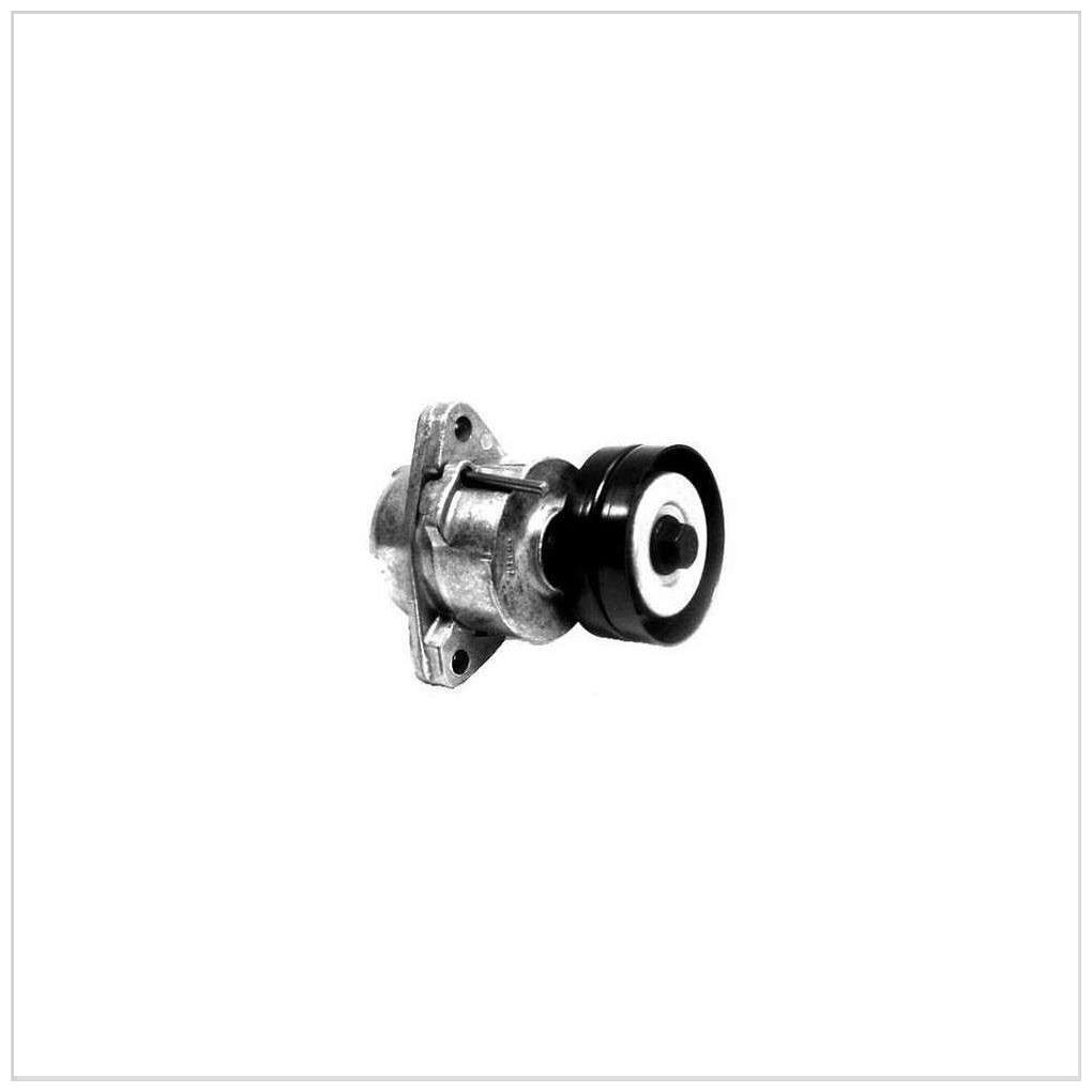 Tensionador Correia - SKF - VKM 35009 L