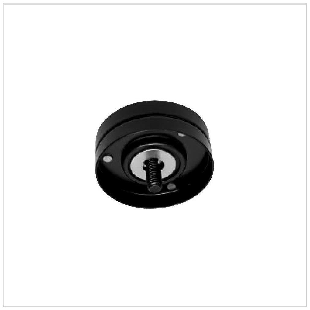 Polia da Correia - SKF - VKM 4790