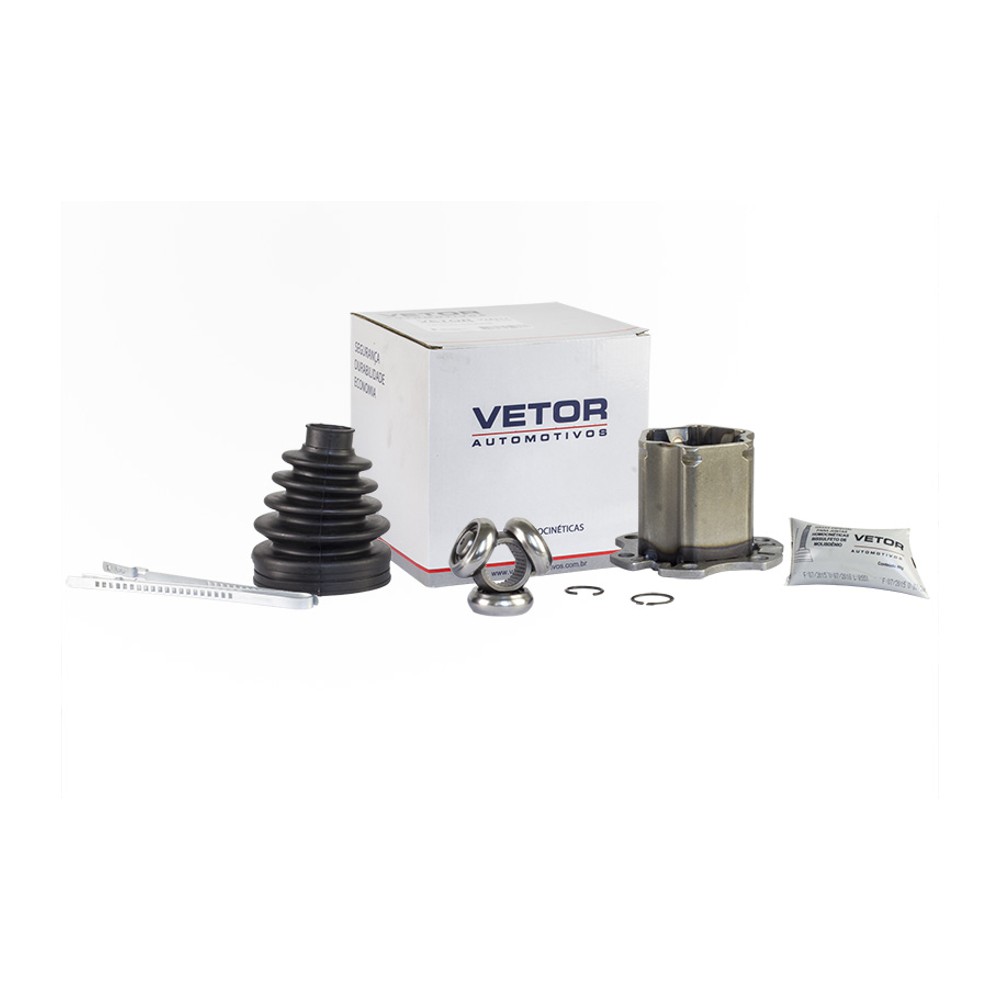 Tulipa Direita ou Esquerda - Vetor - Vt5311