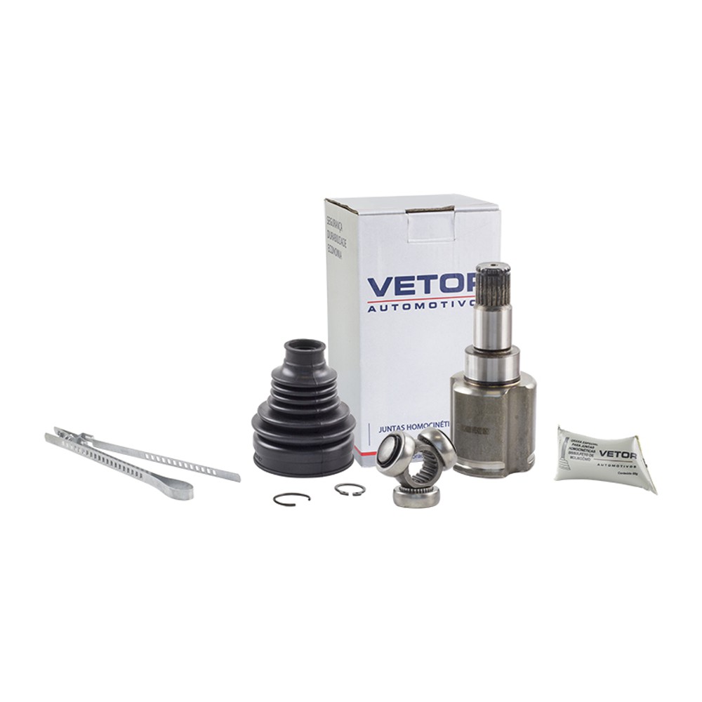 Tulipa Direita ou Esquerda - Vetor - Vt5422