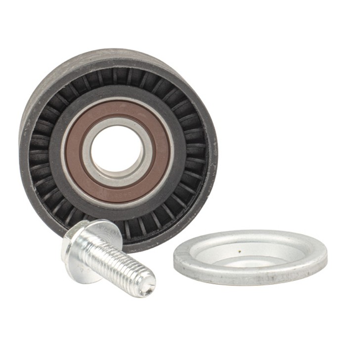 Polia do Alternador para Renault Master - Vetor - Vt8641