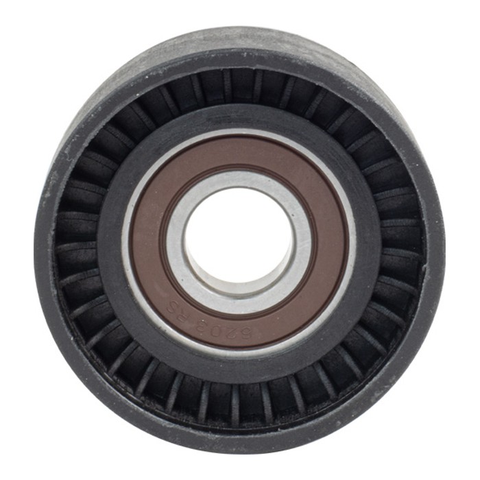 Polia do Alternador para Renault Master - Vetor - Vt8641