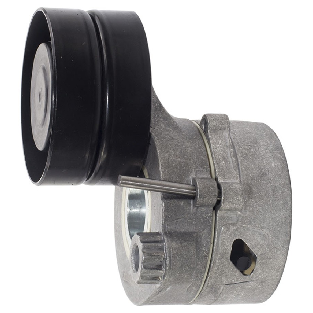 Rolamento Tensor da Correia - Vetor - Vt8186