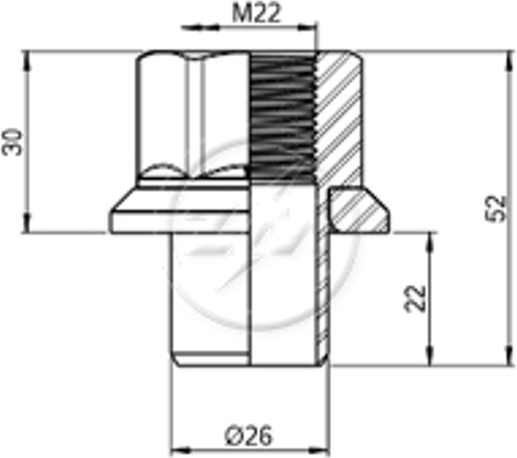 1 Porca Centralizadora Roda M22x1,5xCH33/52 - ZM - 2902255