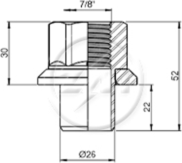 Kit 20 Porca Centralizadora Roda 7/8"xCH1,5/16" - ZM - 2978051