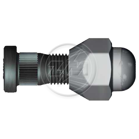 Prisioneiro de Roda com Porca Caixa com 50 Unidades para Nissan Frontier e Sentra - ZM - 40.012.02