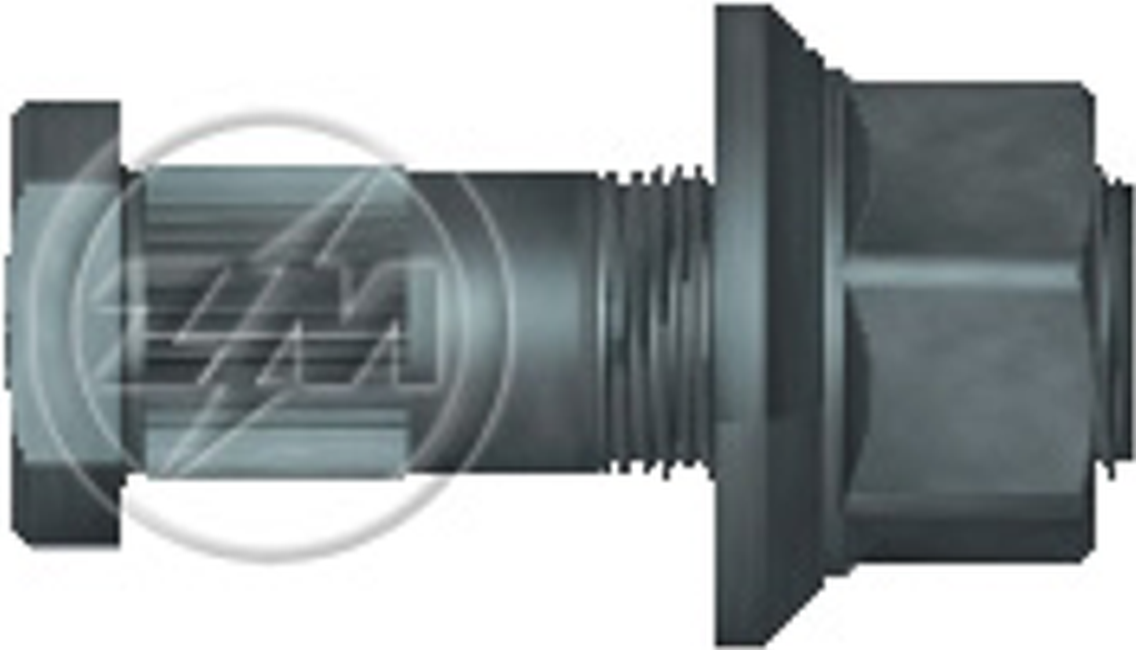 Kit 30 Parafuso Roda M22-1,5x72/80xCH32xH27 - ZM - 40.022.38