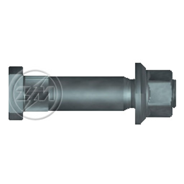 Kit 20 Parafuso Roda M22-1,5x114/125xCH32xH33 - ZM - 4002257