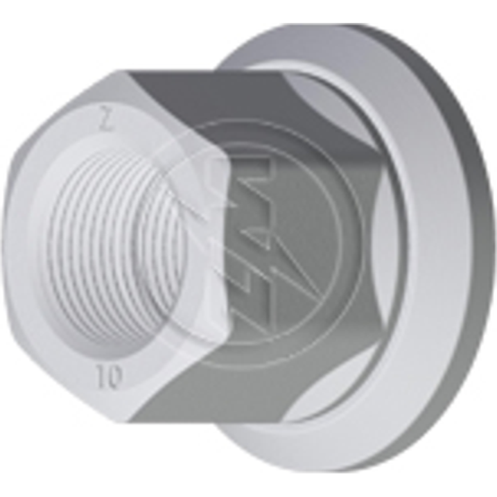 Kit 30 Porca da Roda M22-1,5 x CH32 x H33 - ZM - 529.022.04