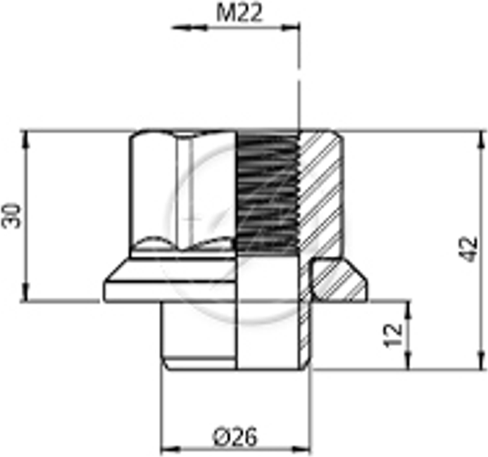 Kit 25 Porca Centralizadora Roda M22-1,5xCH33 - ZM - 52902245