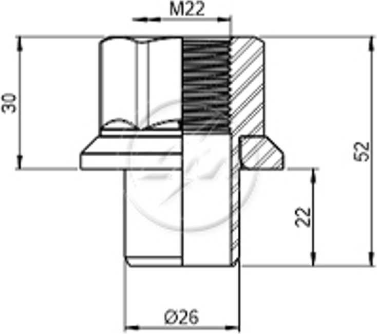 Kit 20 Porca Centralizadora Roda M22-1,5xCH33 - ZM - 52902255