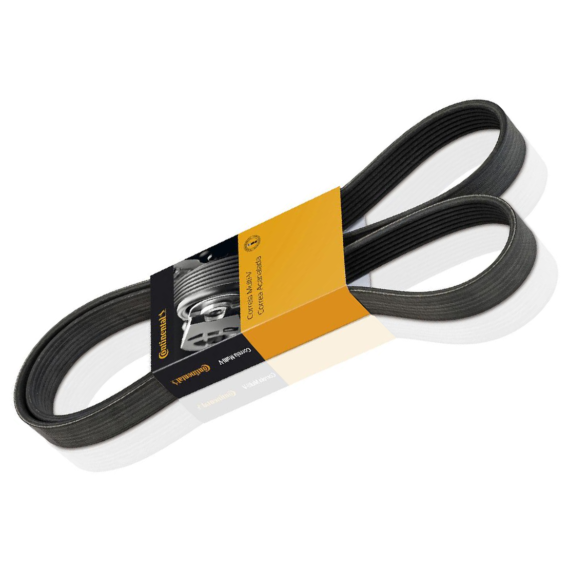 Correia de Acessórios Multi V 18x1813 5 Lâminas - CONTITECH - 5PK1813