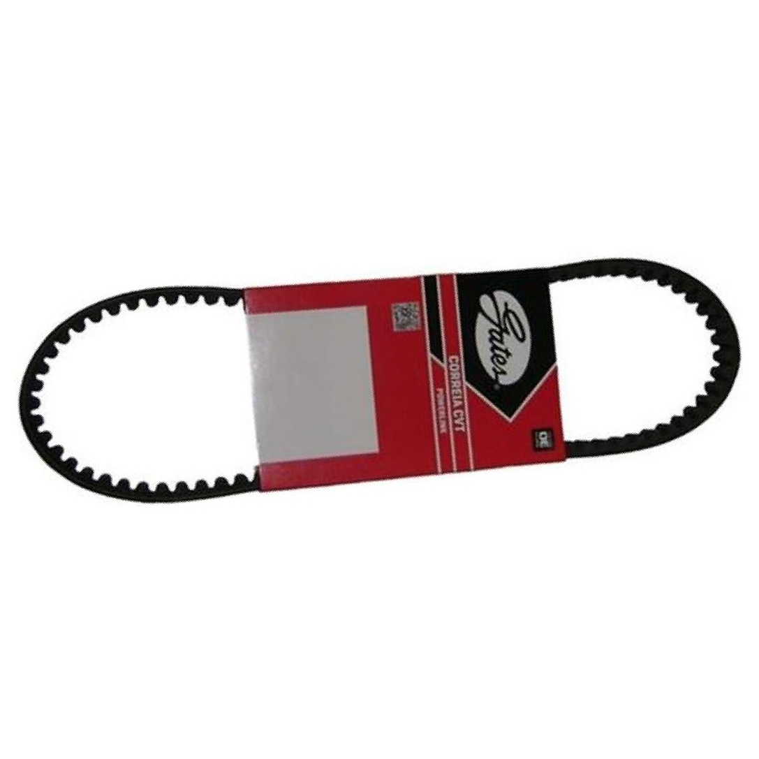 Correia de Acessórios Alternador - GATES - 7423