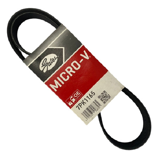 Correia Micro V - GATES - 7PK1165