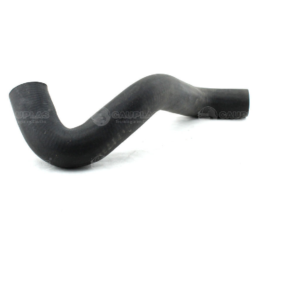 Mangueira do Radiador Inferior para Ford Focus - Cauplas - 11020