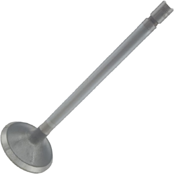 Válvula de Admissão - KS PIERBURG - 50017042