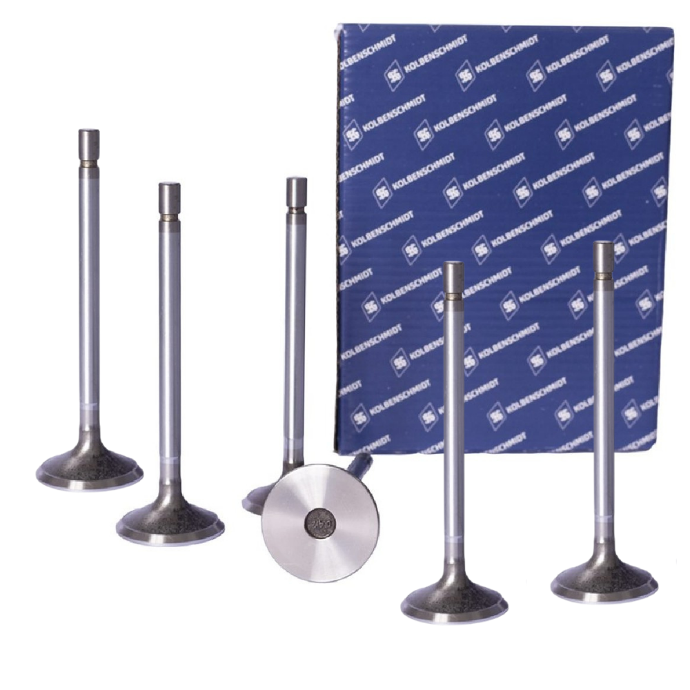 Kit 6 Válvula de Admissão - KS PIERBURG - 50017042