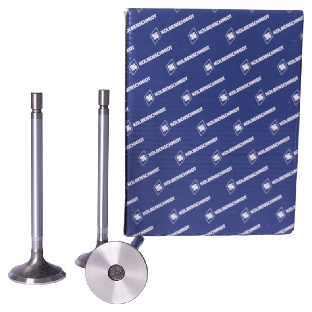 Kit 6 Válvula de Admissão - KS PIERBURG - 50017042