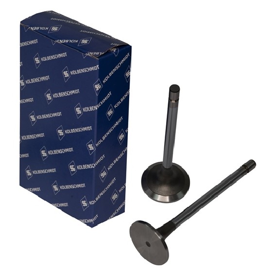 Kit 2 Válvula de Admissão - KS PIERBURG - 50017101