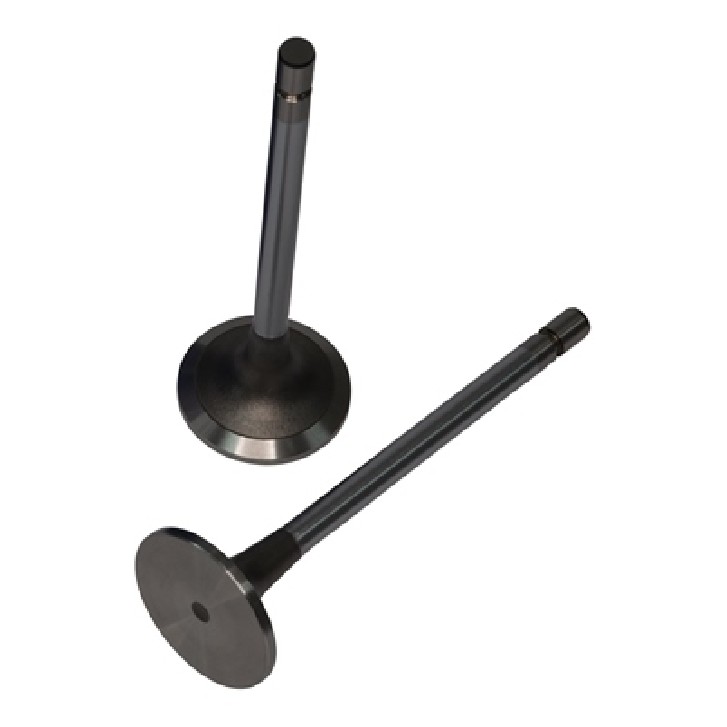 Kit 2 Válvula de Admissão - KS PIERBURG - 50017101