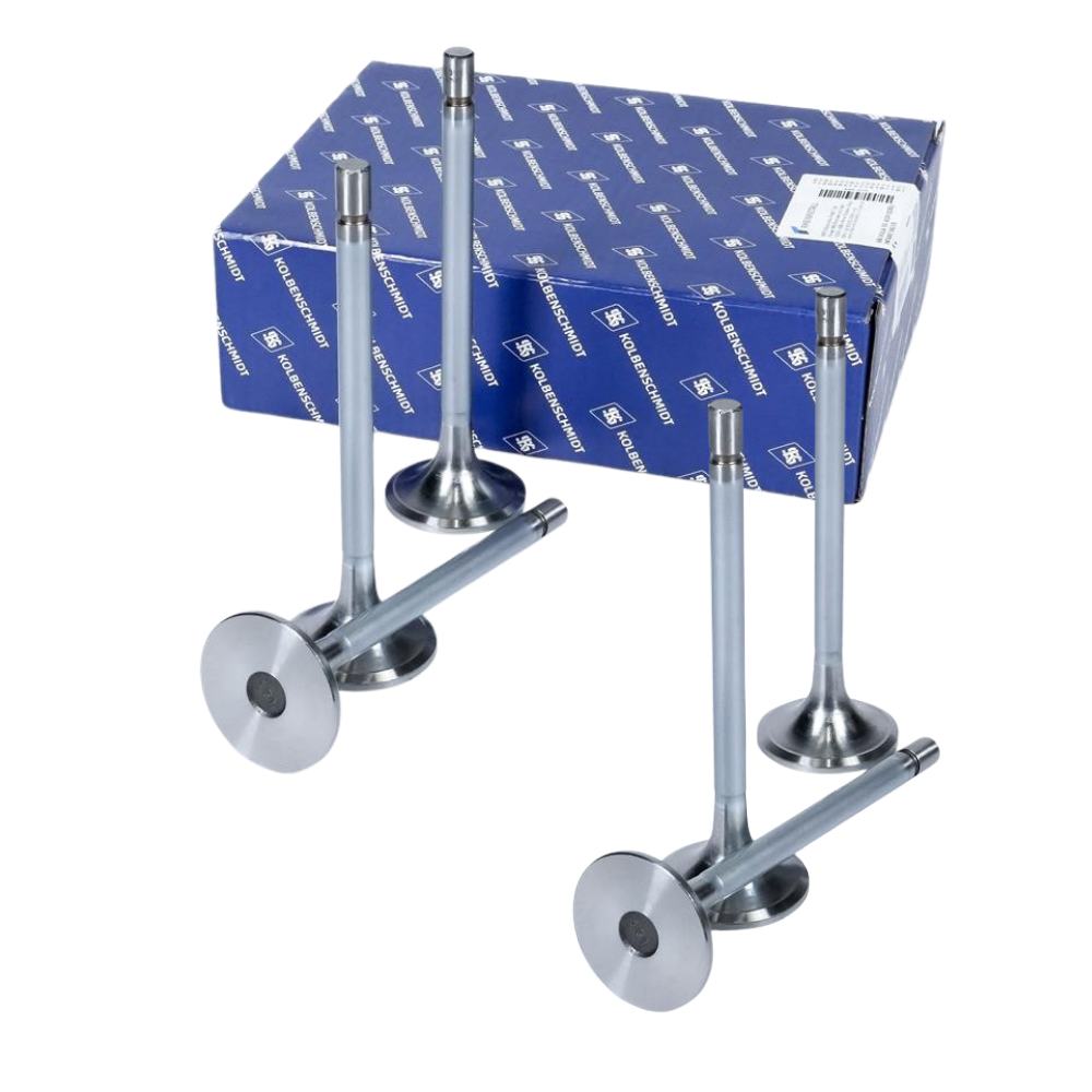Kit 6 Válvula de Admissão - KS PIERBURG - 50017391
