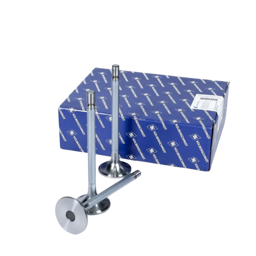 Kit 6 Válvula de Admissão - KS PIERBURG - 50017391