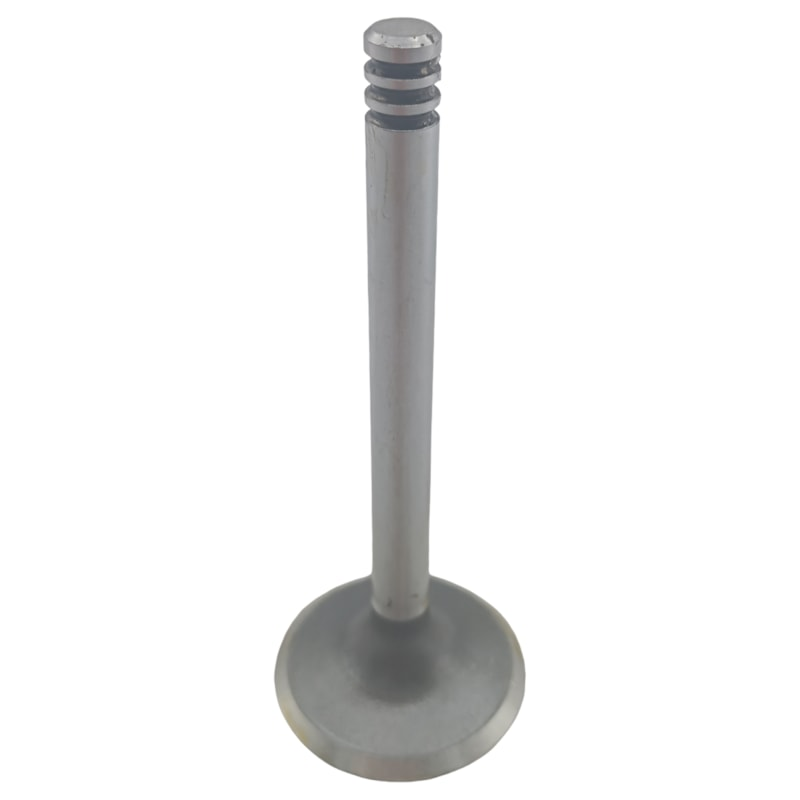 Kit 4 Válvula de Admissão - KS PIERBURG - 50017396