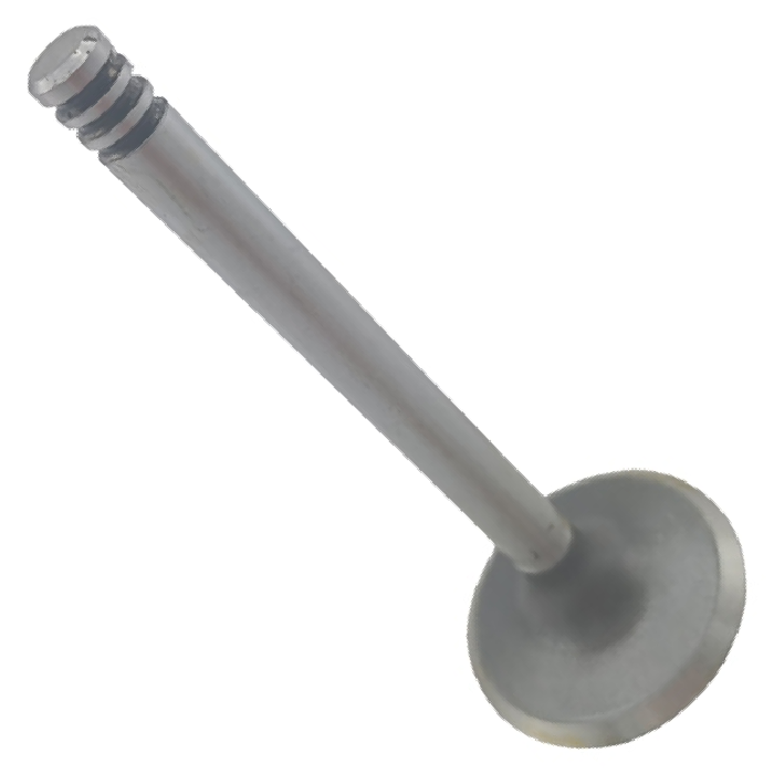 Kit 4 Válvula de Admissão - KS PIERBURG - 50017396