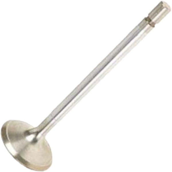 Kit 6 Válvula de Admissão - KS PIERBURG - 50017794