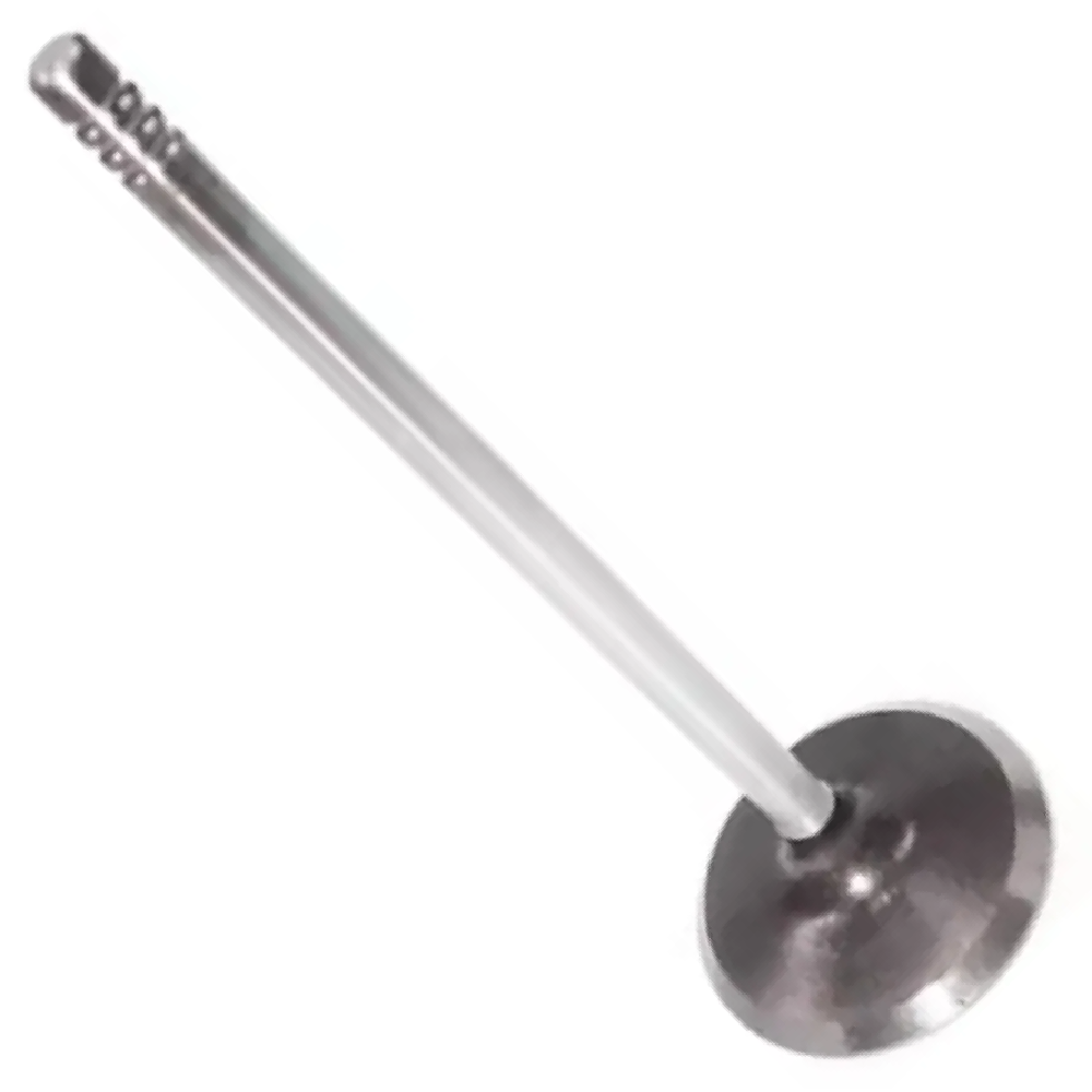 Kit 4 Válvula de Admissão - KS PIERBURG - 50017971