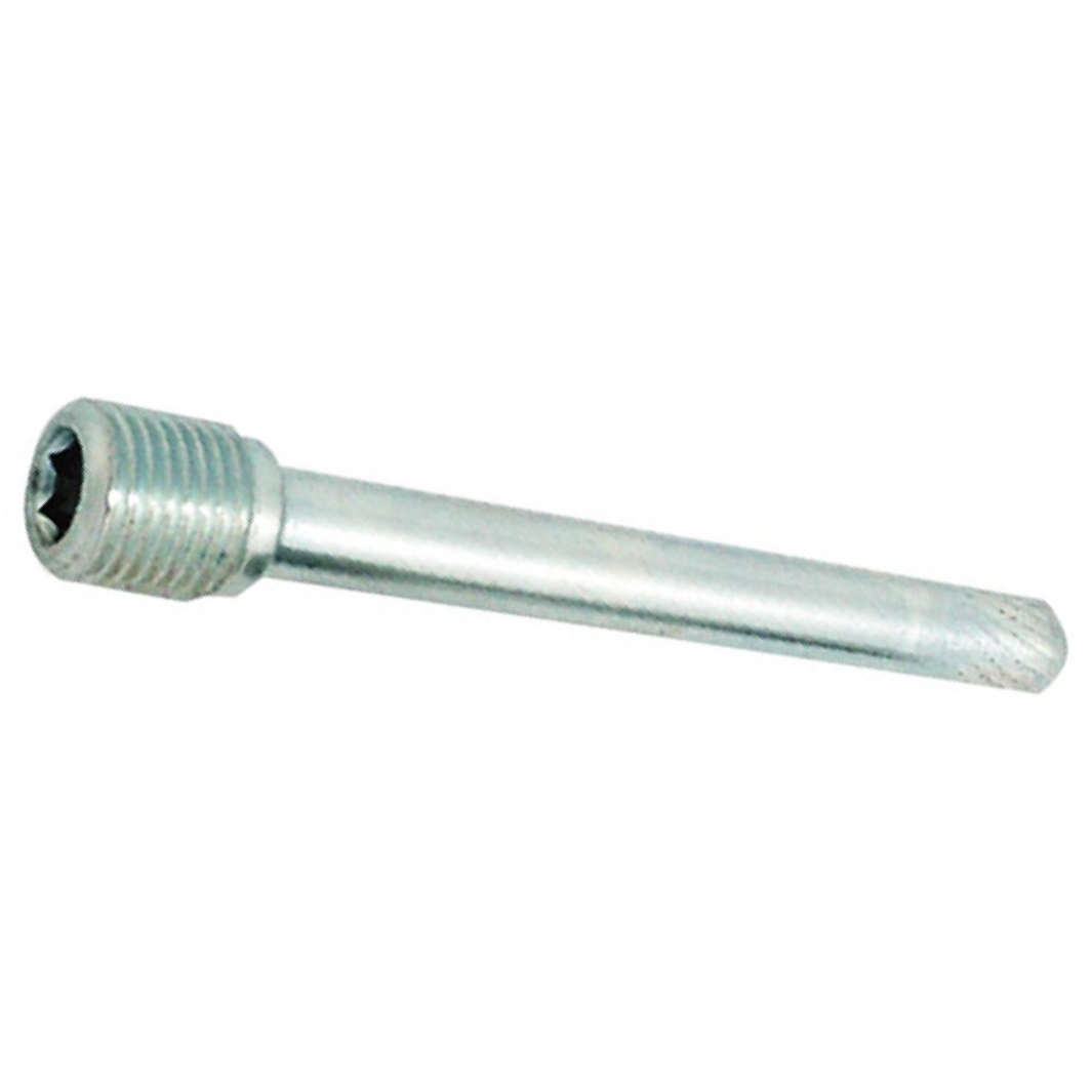 Parafuso Caliper Pastilha de Freio - Danidrea - 24304