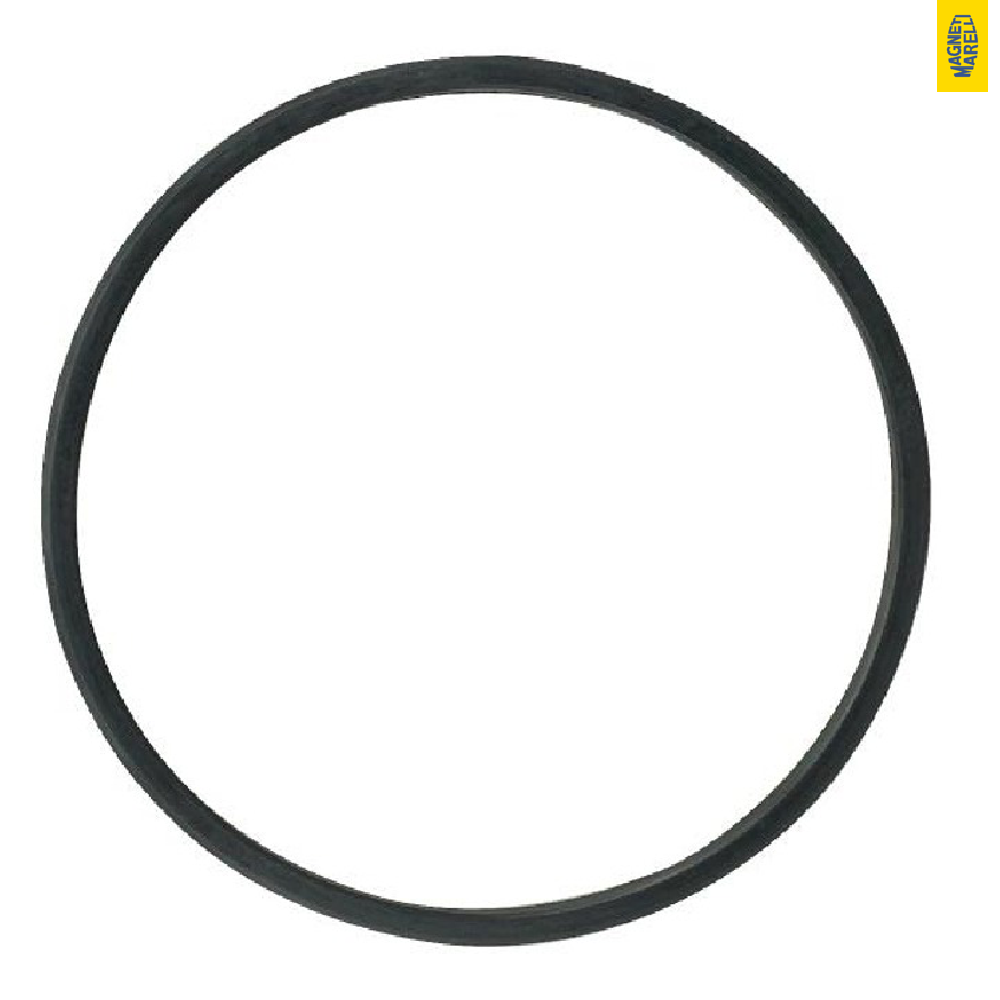 Guarnição da Flange do Módulo de Combustível para Ford F-250 e F-350 - Magneti Marelli - GFMC7402