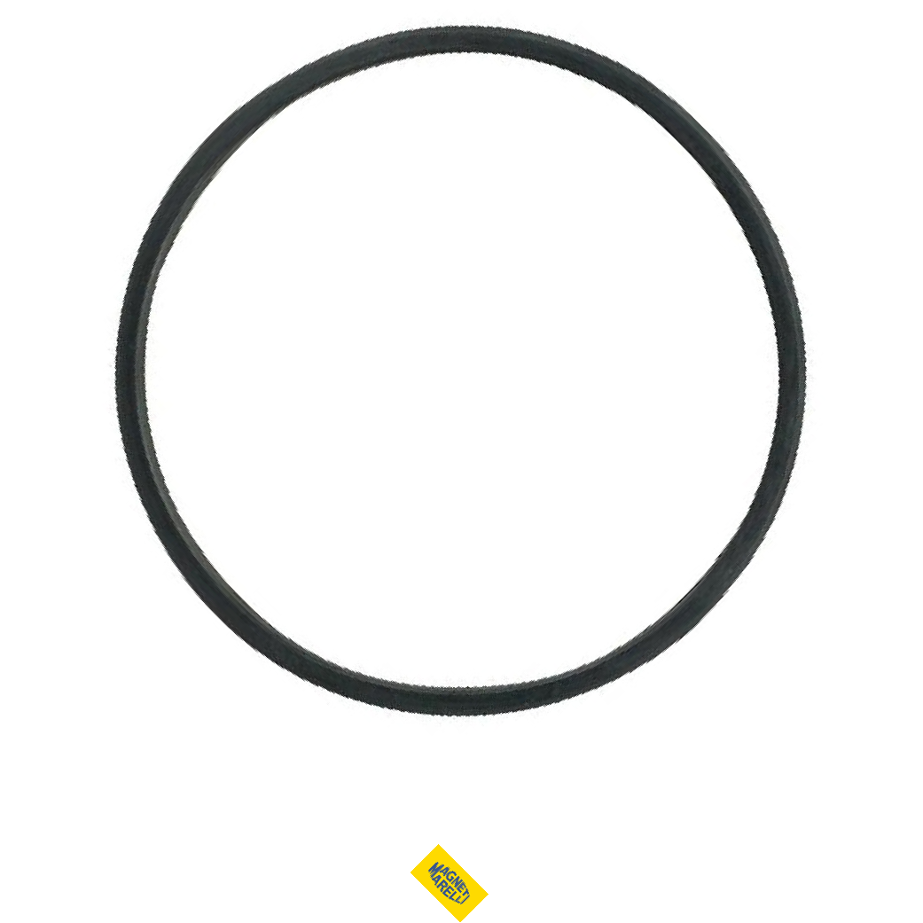 Guarnição da Flange do Módulo de Combustível para Ford F-250 e F-350 - Magneti Marelli - GFMC7402