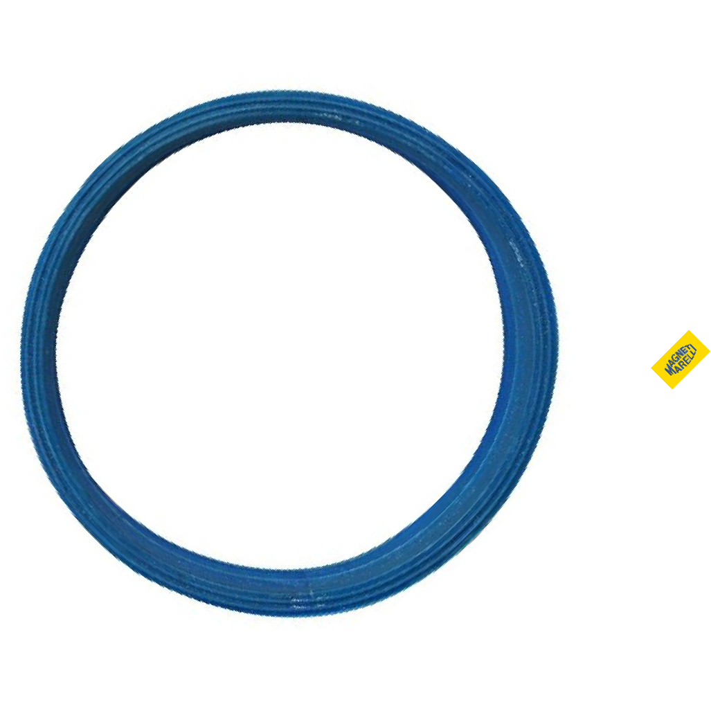 Guarnição da Flange do Módulo de Combustível para Hyundai Elantra e KIA Picanto - Magneti Marelli - GFMC8102