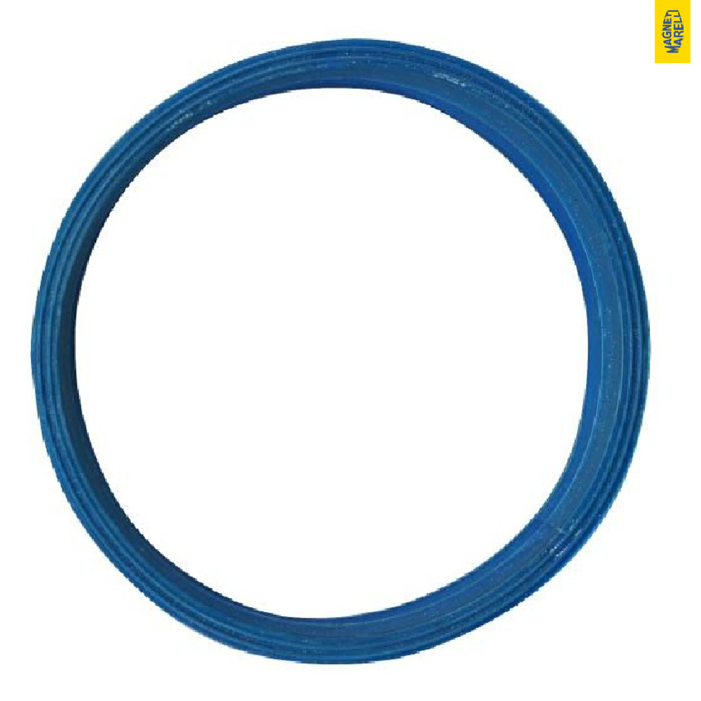 Guarnição da Flange do Módulo de Combustível para Hyundai Elantra e KIA Picanto - Magneti Marelli - GFMC8102