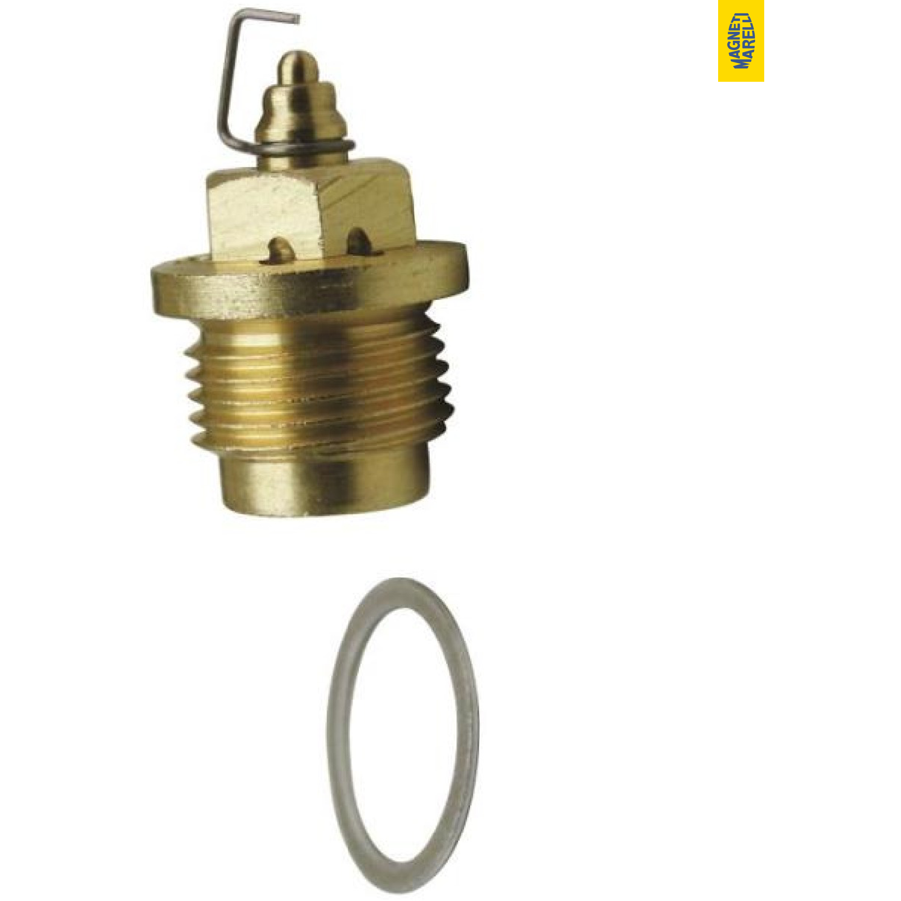 Conjunto De Válvula Da Bóia Do Carburador - Magneti Marelli - 48812802