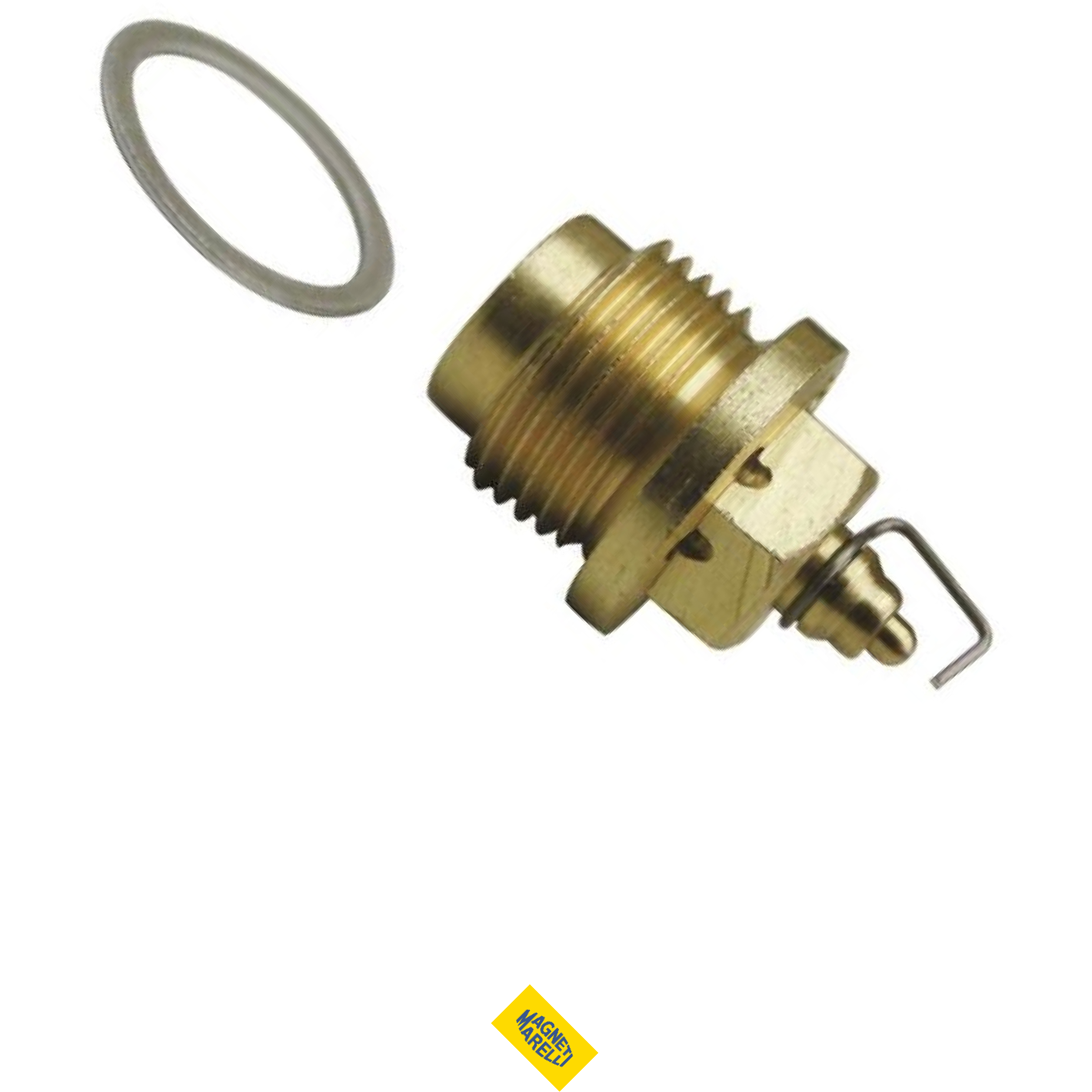 Conjunto De Válvula Da Bóia Do Carburador - Magneti Marelli - 48812802