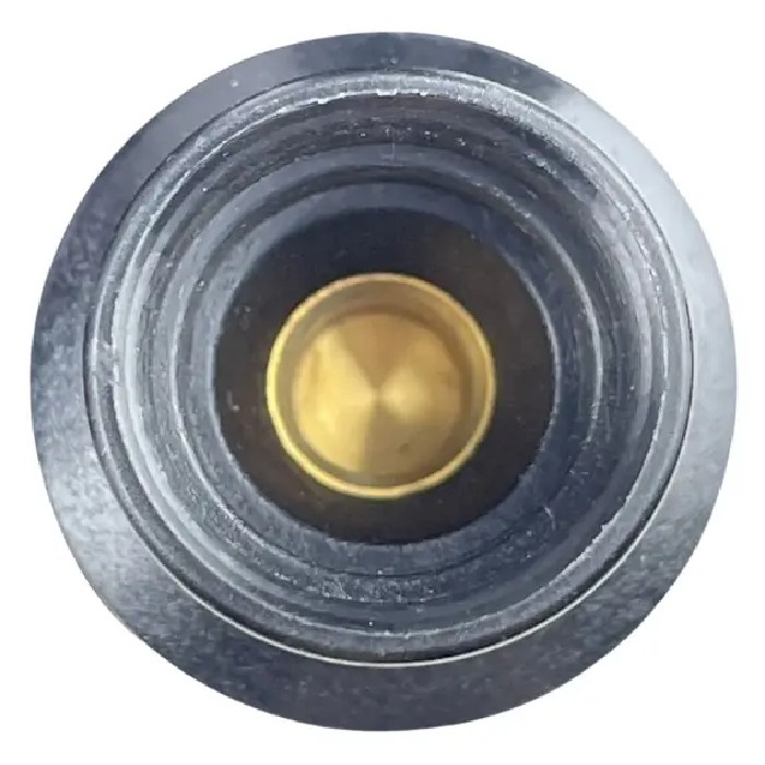 Bobina de Ignição para Ford Ranger - Magneti Marelli - BI0050MM
