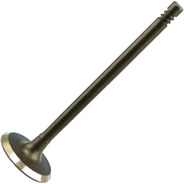Válvula de Admissão - Magneti Marelli - VAC08009