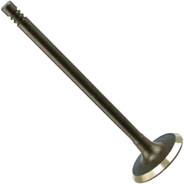 Válvula de Admissão - Magneti Marelli - VAC08009