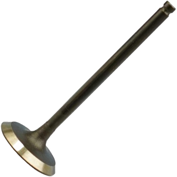 Válvula de Admissão para Toyota Corolla e Fielder - Magneti Marelli - VAC22004