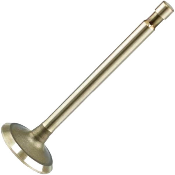 Válvula de Admissão - Magneti Marelli - VAC08013