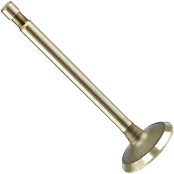 Válvula de Admissão - Magneti Marelli - VAC08013