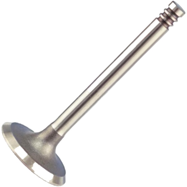 Válvula de Admissão para Volkswagen Golf - Magneti Marelli - VAC01013