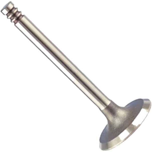 Válvula de Admissão para Volkswagen Golf - Magneti Marelli - VAC01013