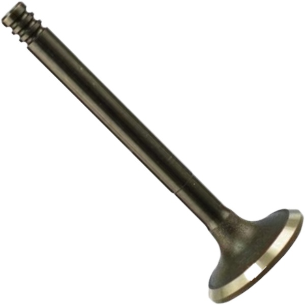 Válvula de Escape para Volkswagen Golf - Magneti Marelli - VEC01033