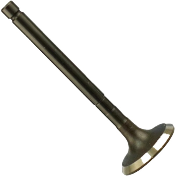 Válvula de Escape para Toyota Hilux - Magneti Marelli - VEC22007