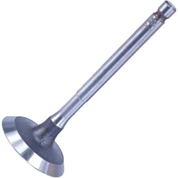 Válvula de Admissão para Yamaha YBR 125 - Magneti Marelli - VAC43003