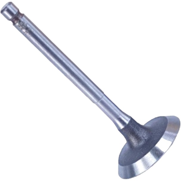 Válvula de Admissão para Yamaha YBR 125 - Magneti Marelli - VAC43003